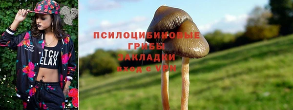 метадон Михайловск