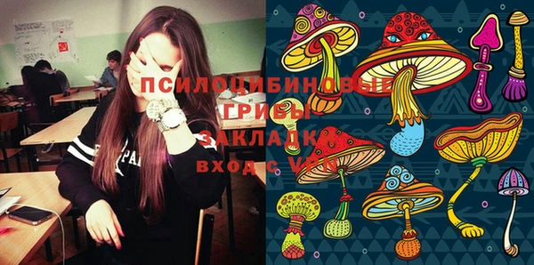 молекула духа Михайловка
