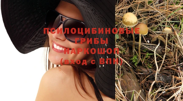 хмурый Михайлов