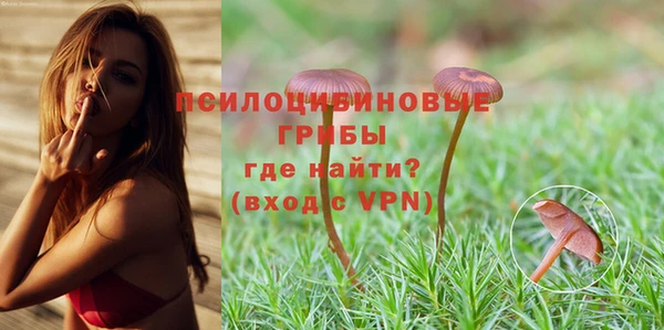метадон Михайловск