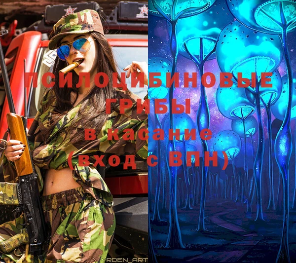 метадон Михайловск